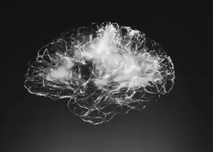 brain